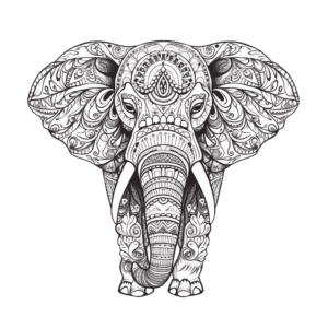 Mandala elephant art png - Rose png