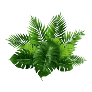 Tropical leaves - Rose png