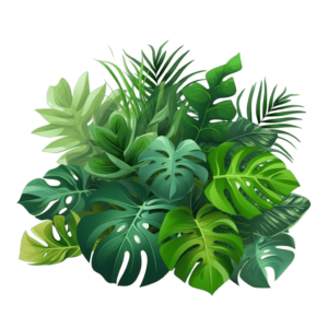 Tropica leaves png - Rose png
