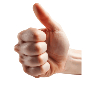 thumbs up png - Rose png