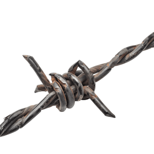 barbed wire png - Rose png