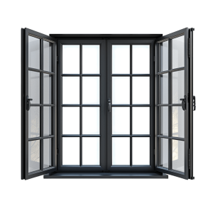 window png - Rose png