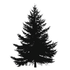 christmas tree silhouette - Rose png