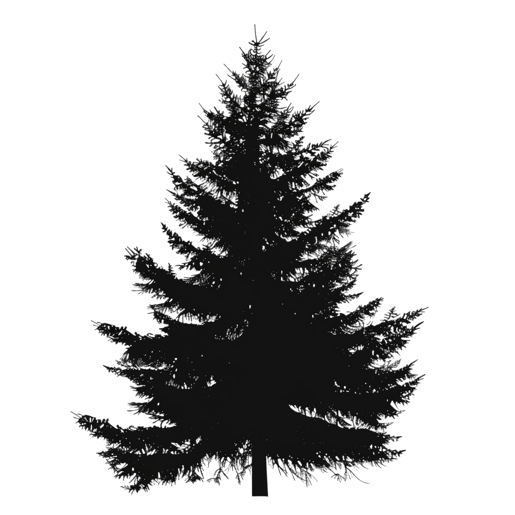 christmas tree silhouette - Rose png