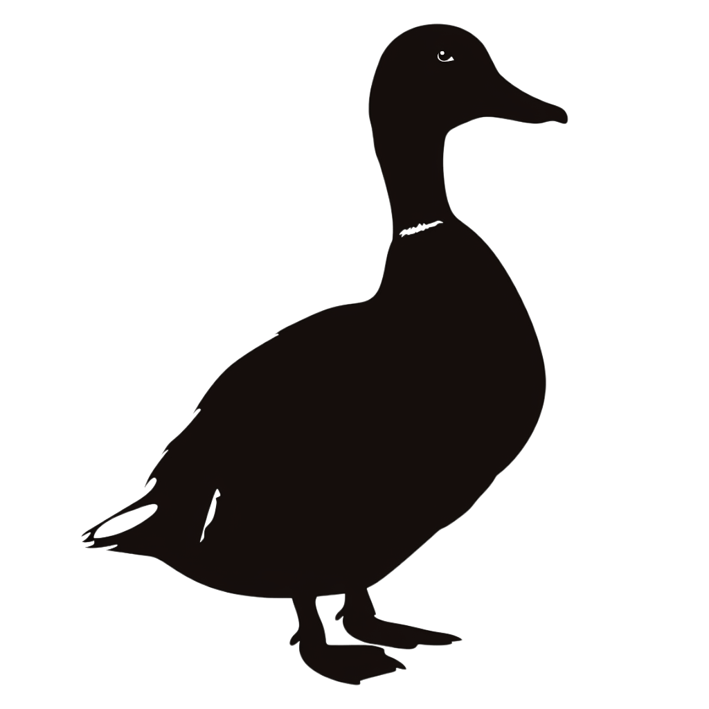 duck silhouette - Rose png