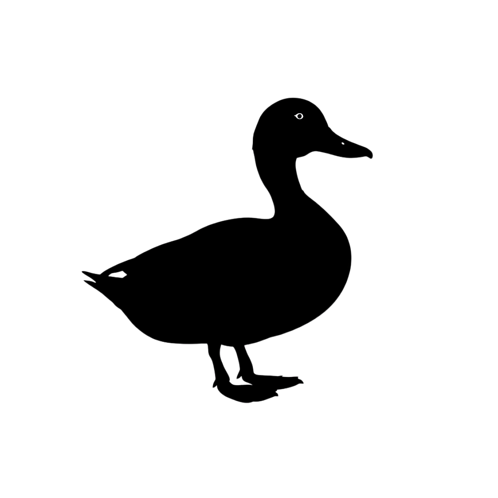duck silhouette - Rose png
