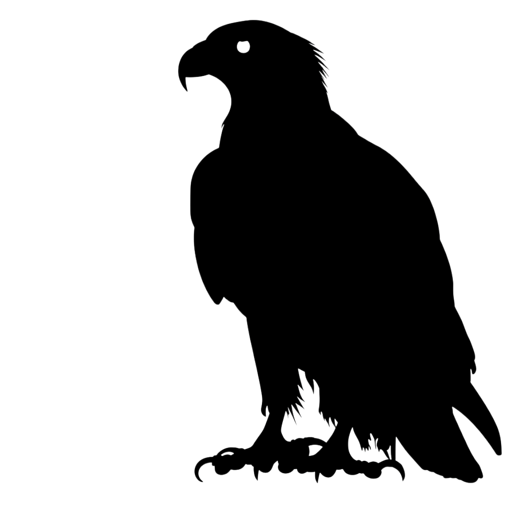 eagle silhouette - Rose png