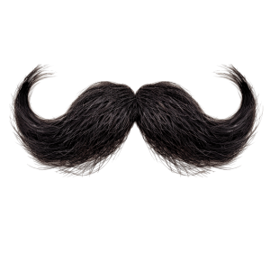 french mustache - Rose png