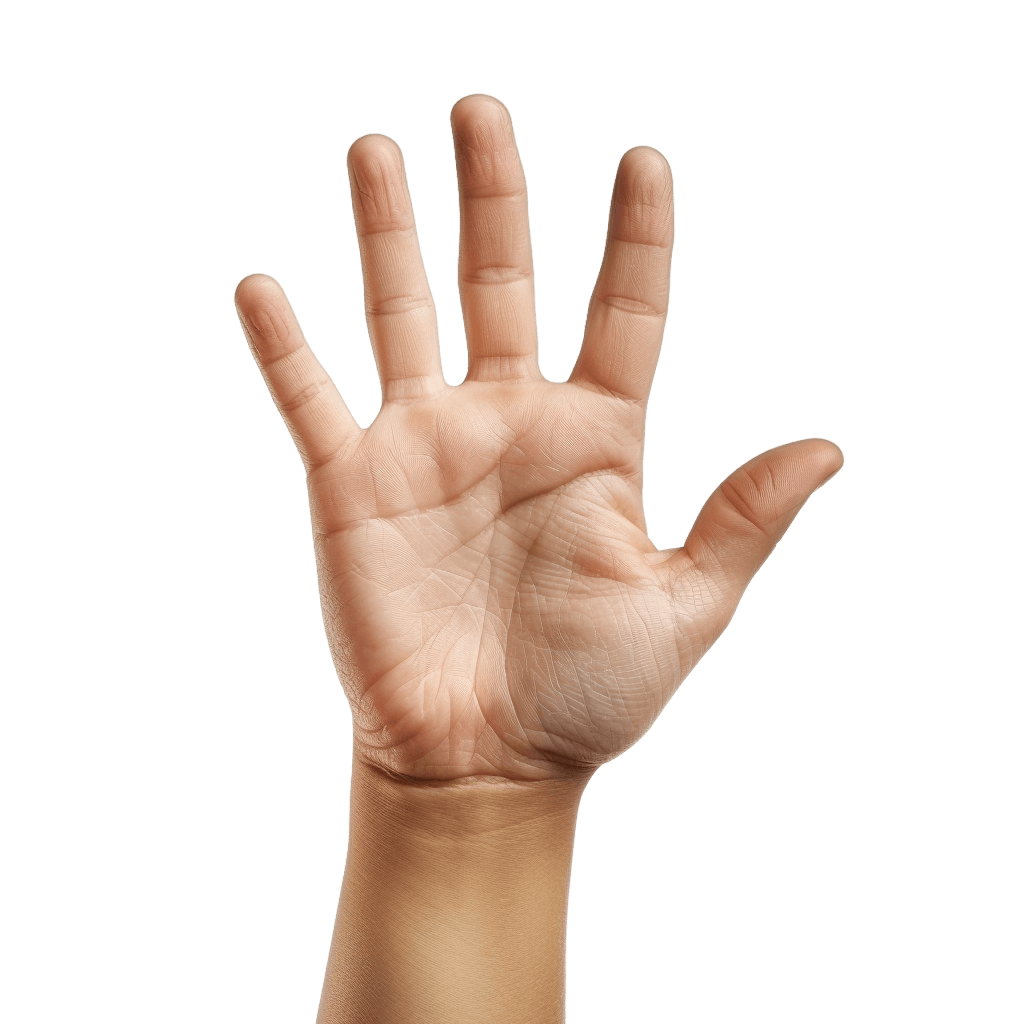 hand png - Rose png