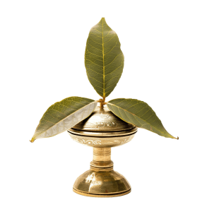 samai png - Rose png