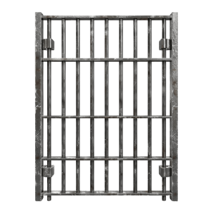 jail bars png - Rose png