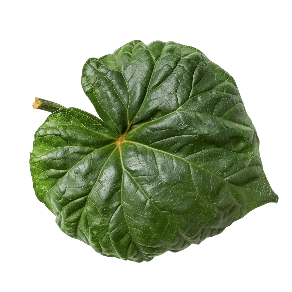 pumpkin leaves - Rose png