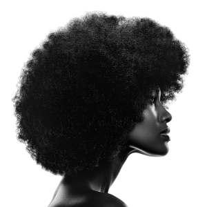 afro png - Rose png