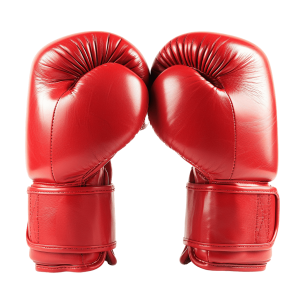 boxing gloves png - Rose png