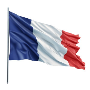 france flag png - Rose png