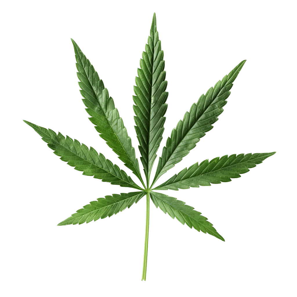 weed leaf png - Rose png