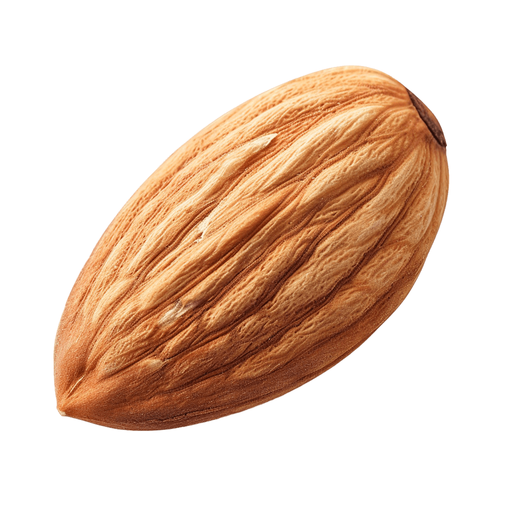 almond png - Rose png