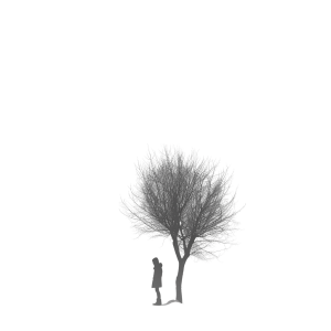 alone png - Rose png