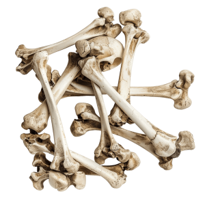 bones png - Rose png