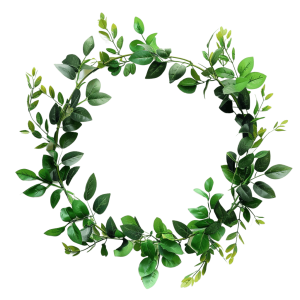 garland png - Rose png