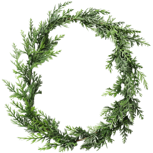 garland png - Rose png