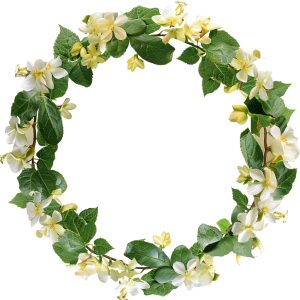 garland png - Rose png