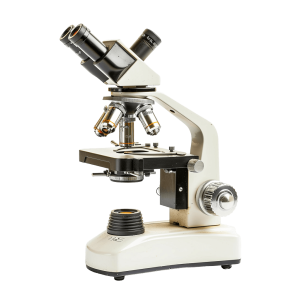 microscope png - Rose png