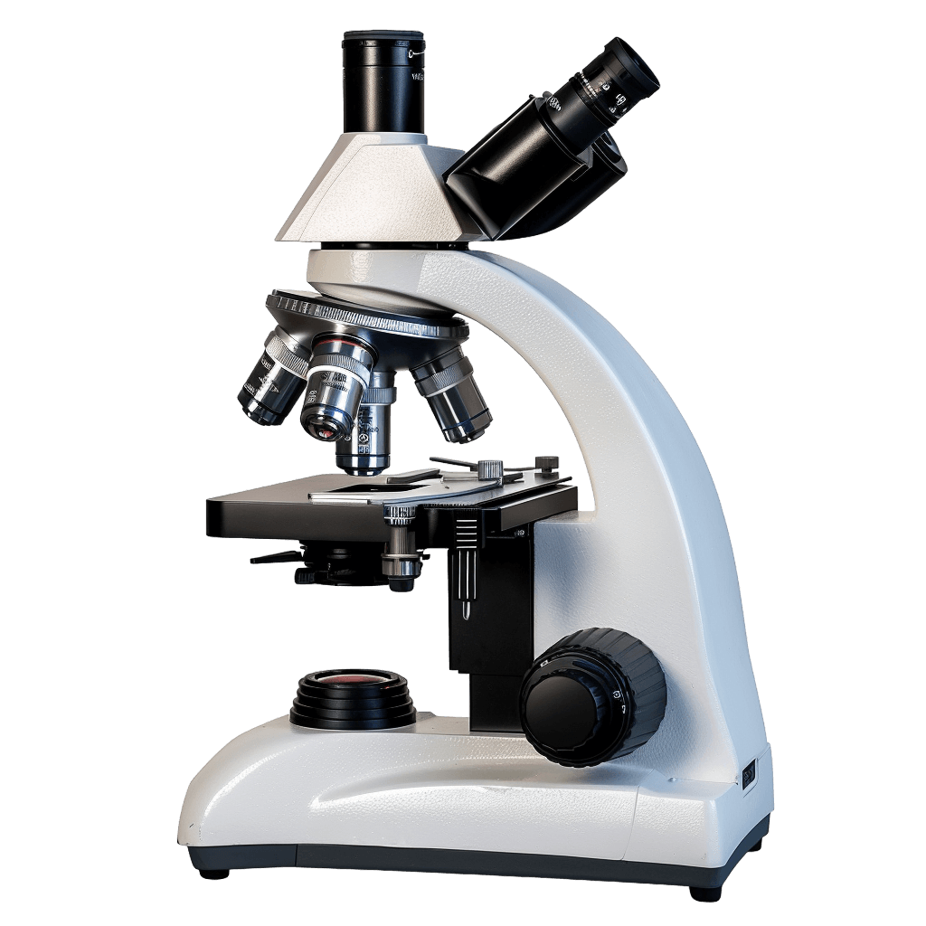 microscope png - Rose png