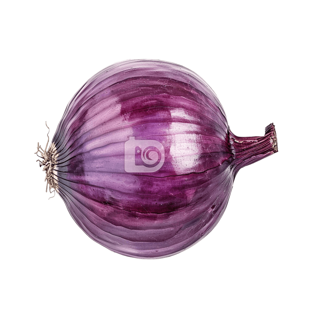 onion png - Rose png