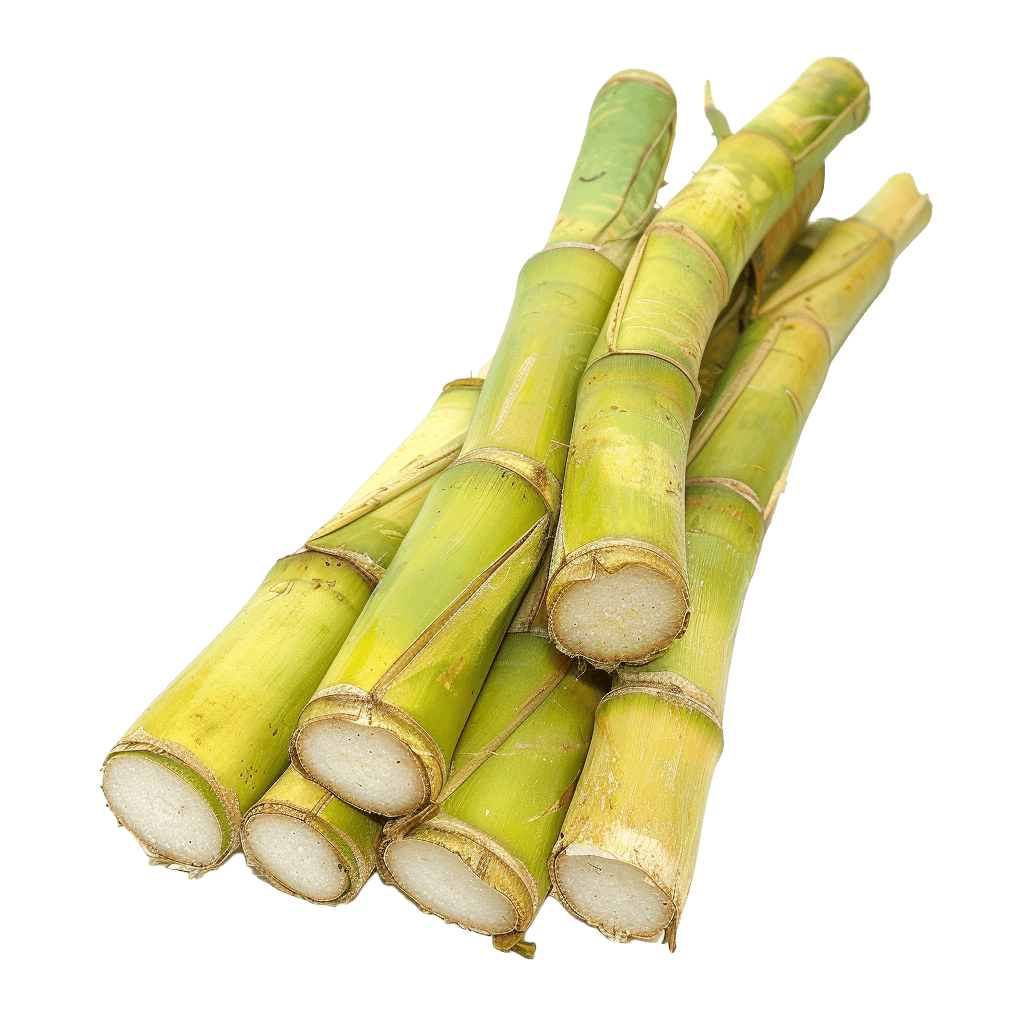 sugar cane png - Rose png
