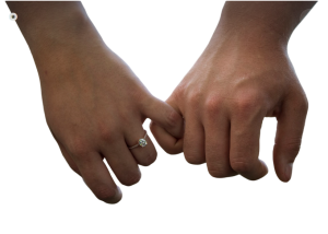 engagement png - Rose png