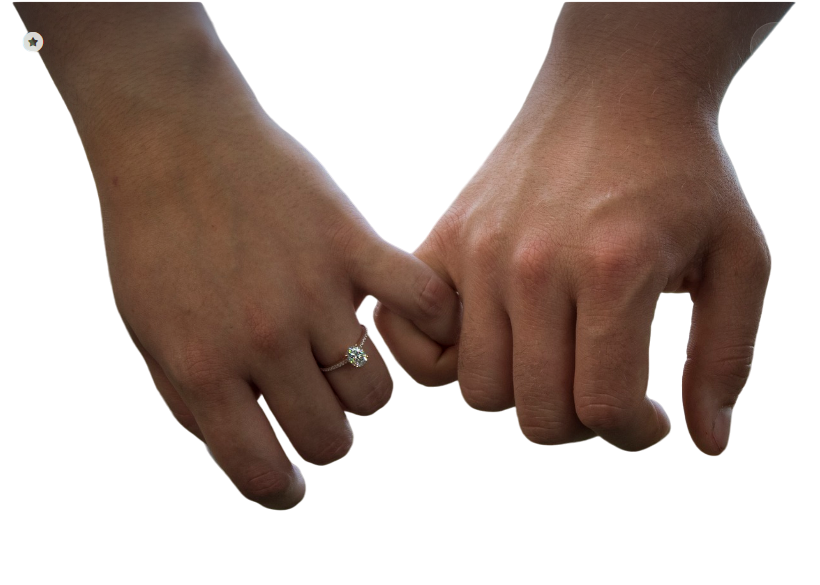 engagement png - Rose png