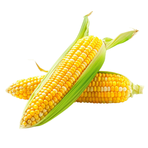 milho png - Rose png