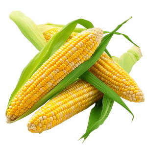 milho png - Rose png