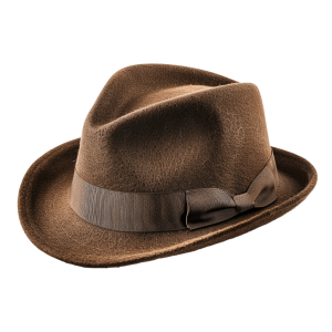 fedora png - Rose png