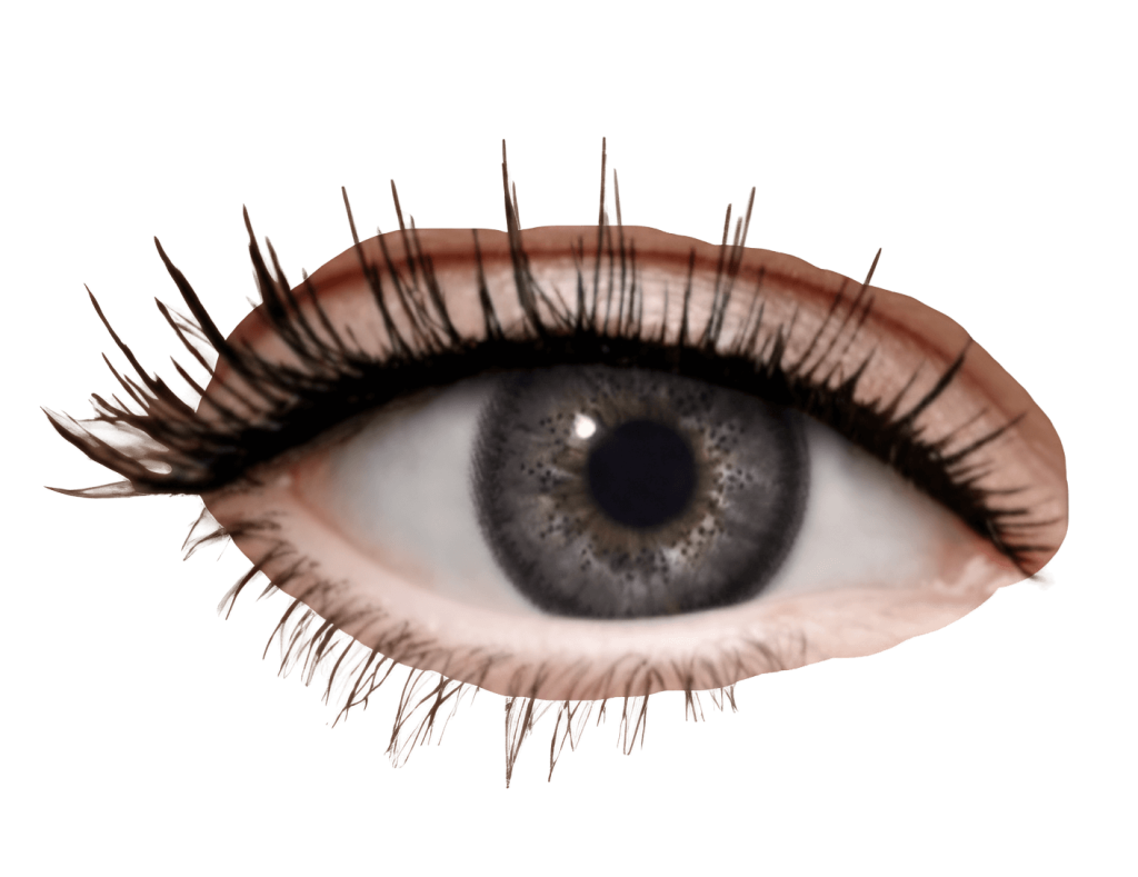 dark grey eyes, human eye png, people png, monochrome png, grey png, color png, close-up graphy png 14 dark grey eyes - Rose png