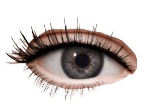 dark grey eyes - Rose png