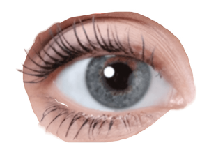 dark grey eyes - Rose png