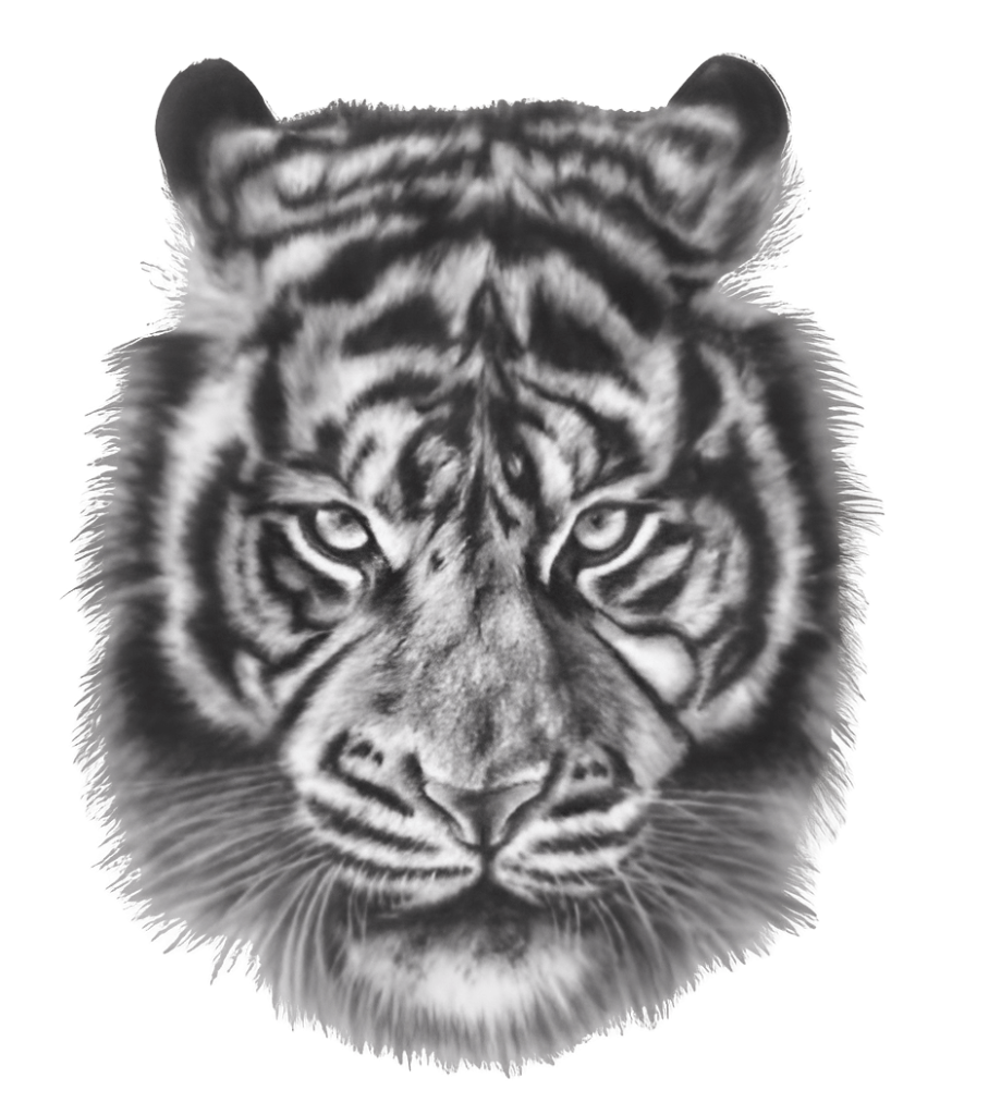 danish zehen hand tattoo png, hand png, monochrome png, tiger tattoo png, presentation png, mammal png 15 danish zehen hand tattoo png - Rose png