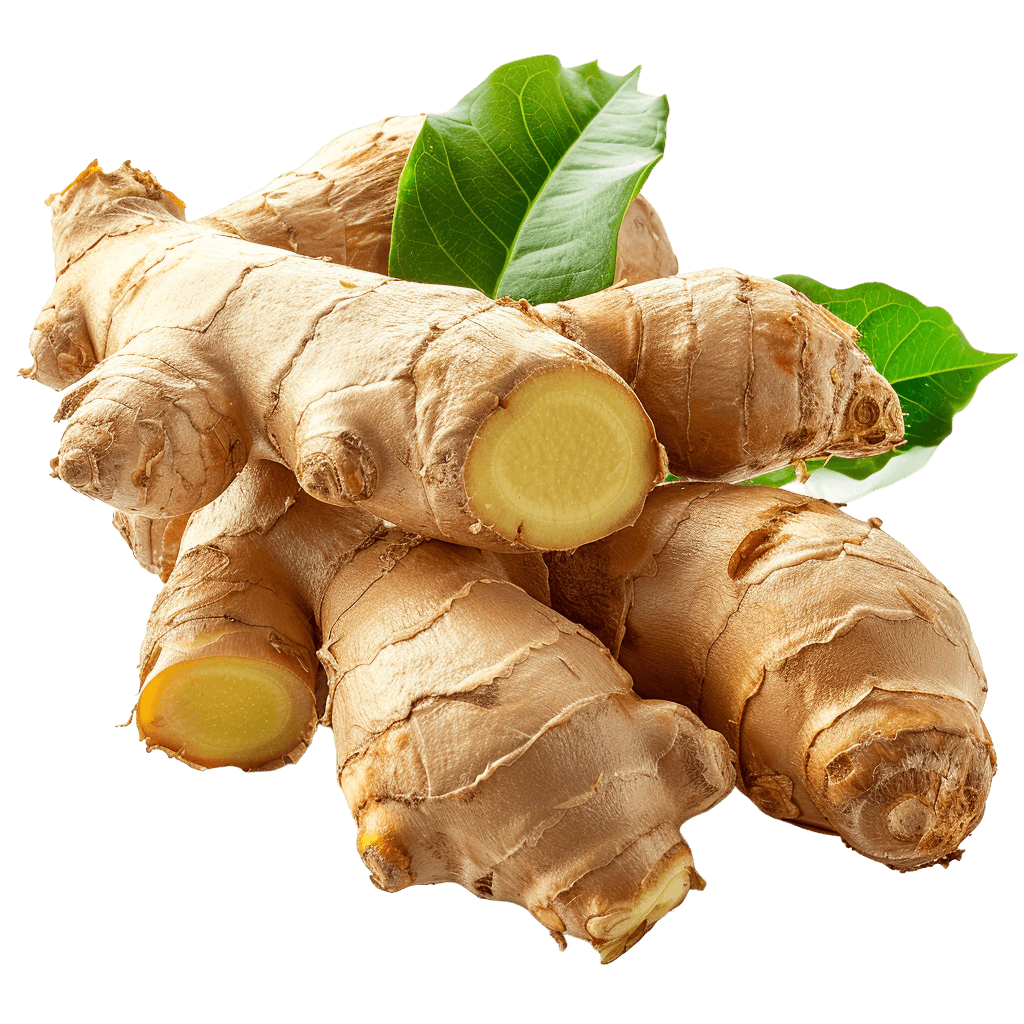 ginger png with leaves | Download High-Quality Transparent PNG Image