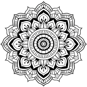 mandala coloring black and white, free png download - Rose png