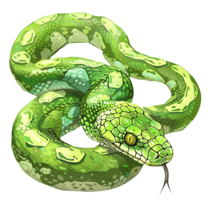 snake clipart Reptile Graphics for Design Projects | Download High-Quality Transparent PNG Image