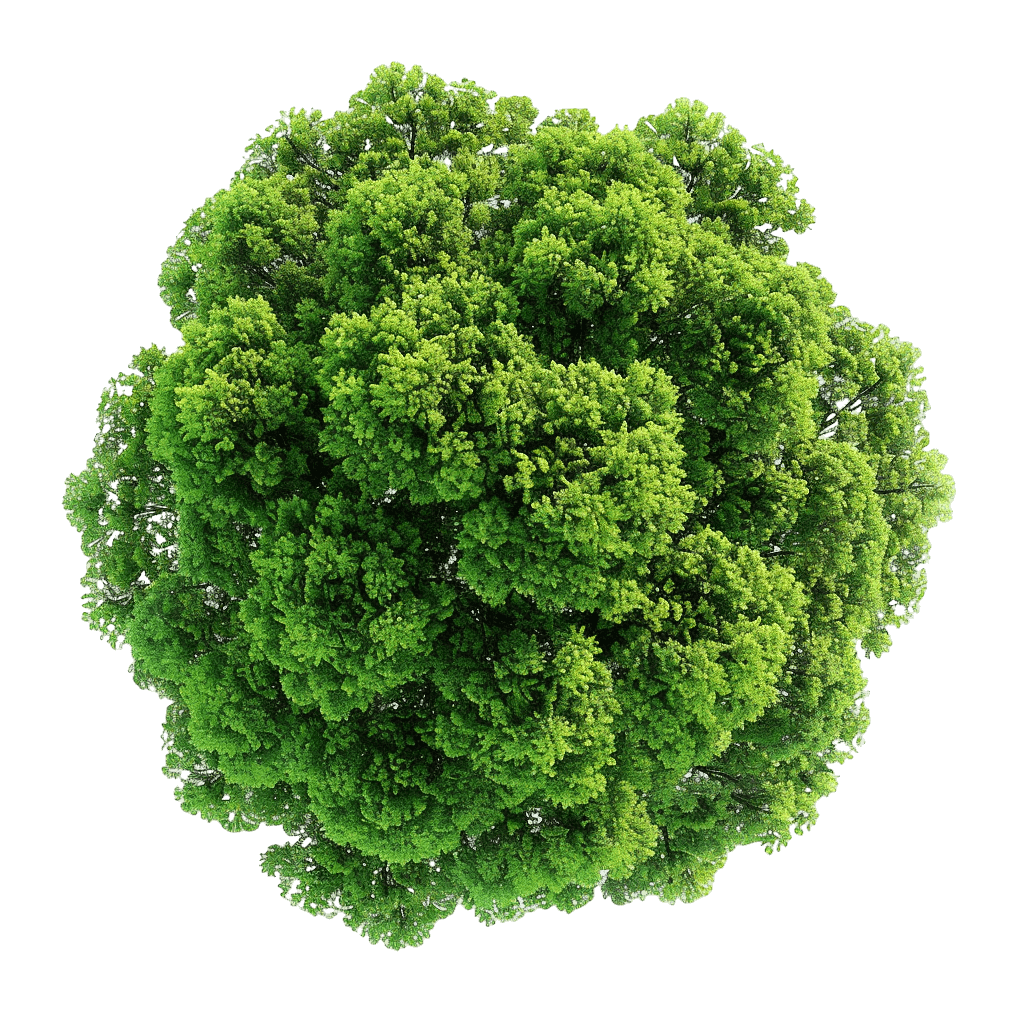 tree top view png for Landscape Designs | Download High-Quality Transparent PNG Image