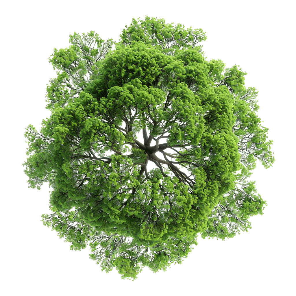 tree top view png for Architectural Plans | Download High-Quality Transparent PNG Image