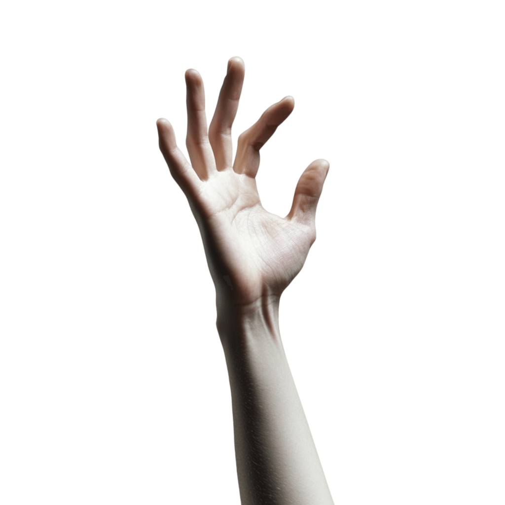 hand png illustration perfect for art, education, and medical projects | Download High-Quality Transparent PNG Image 9 hand png illustration perfect for art, education, and medical projects | Download High-Quality Transparent PNG Image