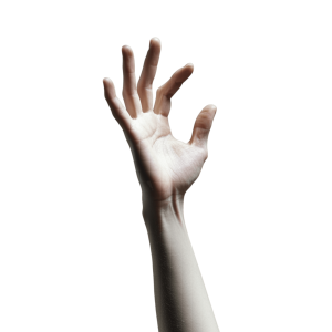 hand png illustration perfect for art, education, and medical projects | Download High-Quality Transparent PNG Image