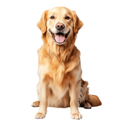 cachorro png Fofo para Artes e Projetos Criativos | Download High-Quality Transparent PNG Image