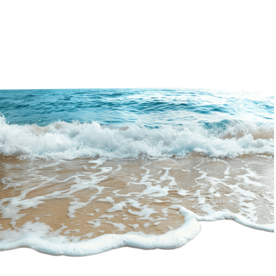 beach png - Rose png