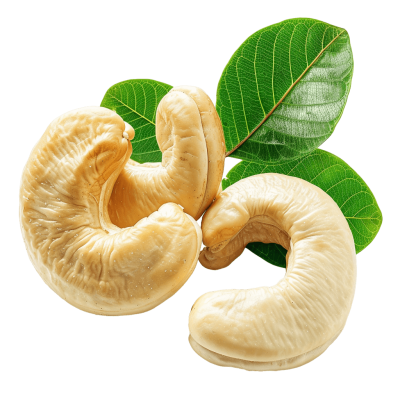 cashew nut Fresh and Natural | Download High-Quality Transparent PNG Image