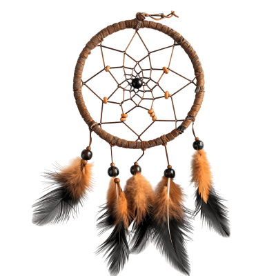 dream catcher illustration with intricate feather details | Download High-Quality Transparent PNG Image